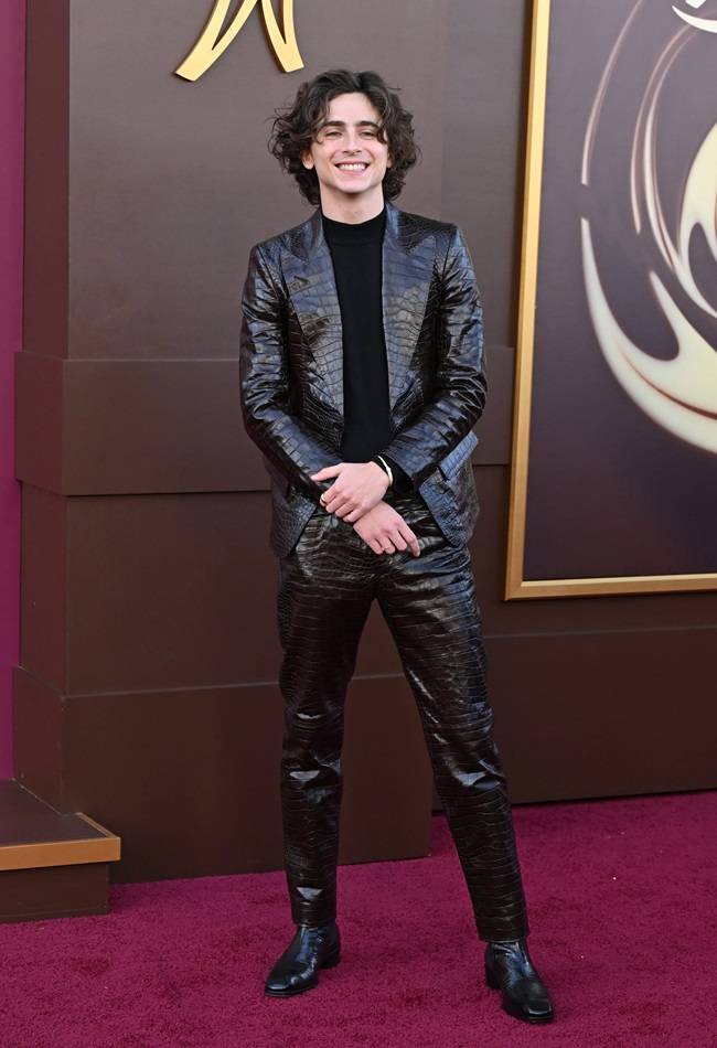 Timothée Chalamet Cultural Style Influence